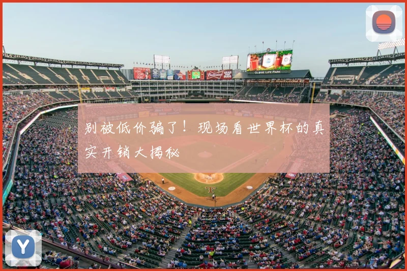 别被低价骗了！现场看世界杯的真实开销大揭秘