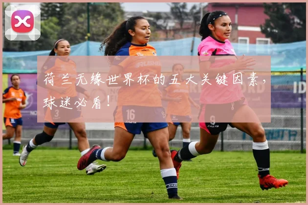 荷兰无缘世界杯的五大关键因素，球迷必看！