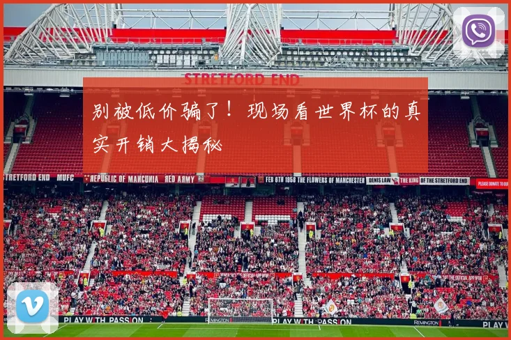 别被低价骗了！现场看世界杯的真实开销大揭秘