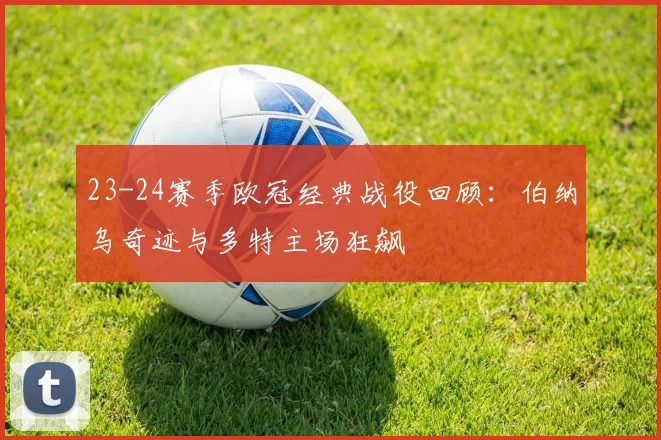 23-24赛季欧冠经典战役回顾：伯纳乌奇迹与多特主场狂飙