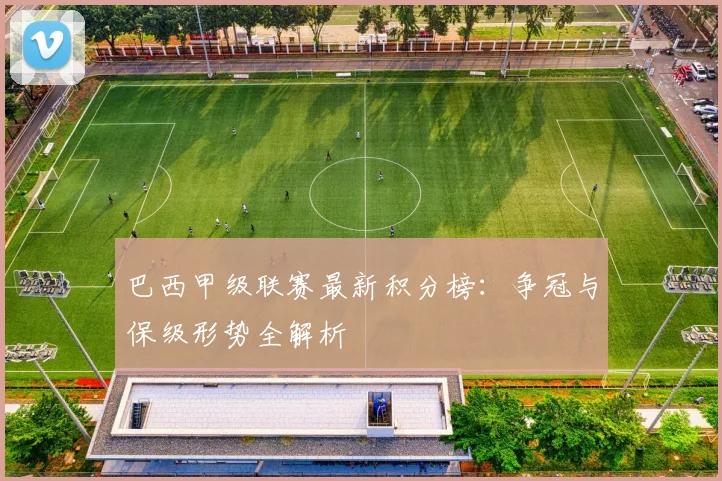 巴西甲级联赛最新积分榜：争冠与保级形势全解析