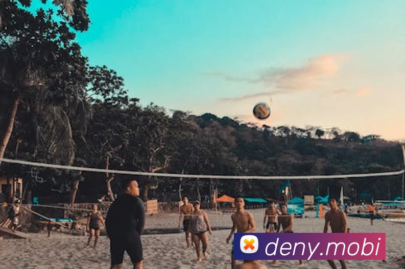 beat365唯一官网平台生态图